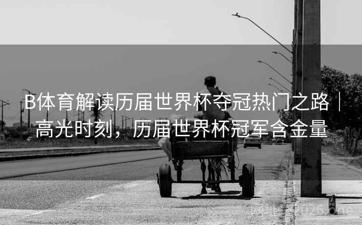 B体育解读历届世界杯夺冠热门之路｜高光时刻，历届世界杯冠军含金量