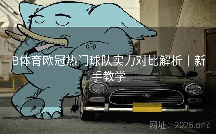 B体育欧冠热门球队实力对比解析｜新手教学