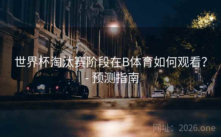 世界杯淘汰赛阶段在B体育如何观看？ - 预测指南