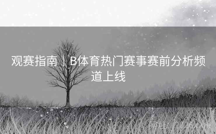观赛指南｜B体育热门赛事赛前分析频道上线