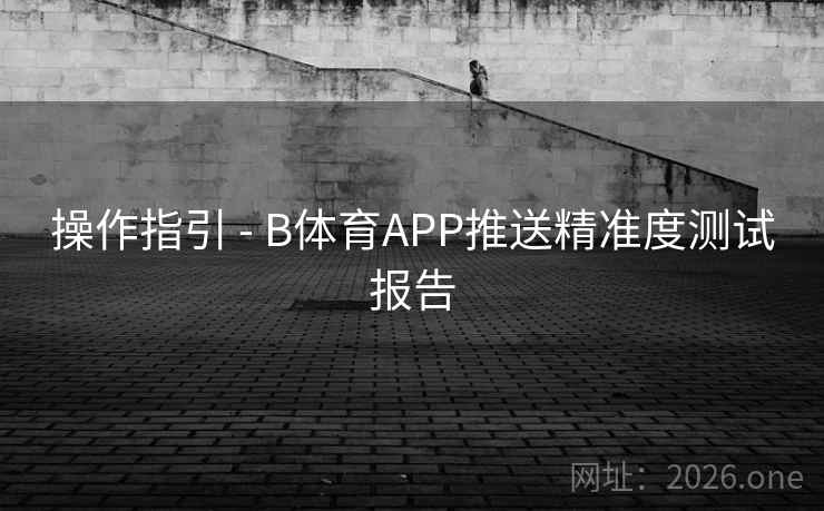 操作指引 - B体育APP推送精准度测试报告