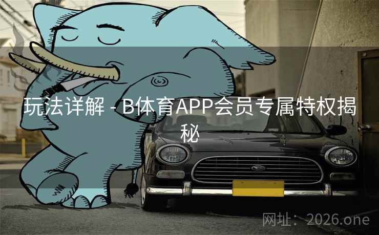 玩法详解 - B体育APP会员专属特权揭秘