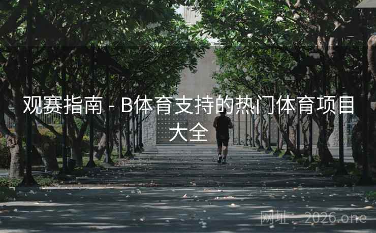 观赛指南 - B体育支持的热门体育项目大全