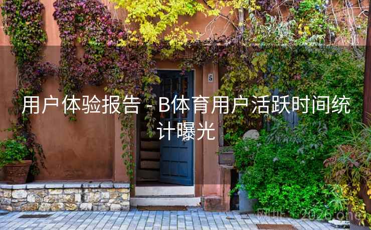 用户体验报告 - B体育用户活跃时间统计曝光