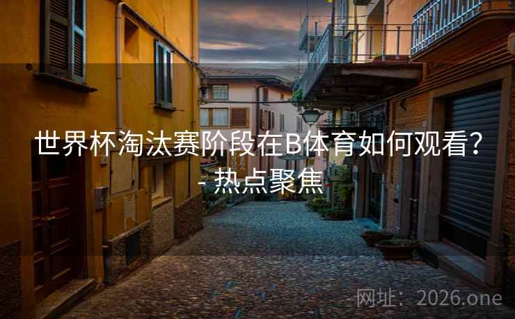 世界杯淘汰赛阶段在B体育如何观看？ - 热点聚焦